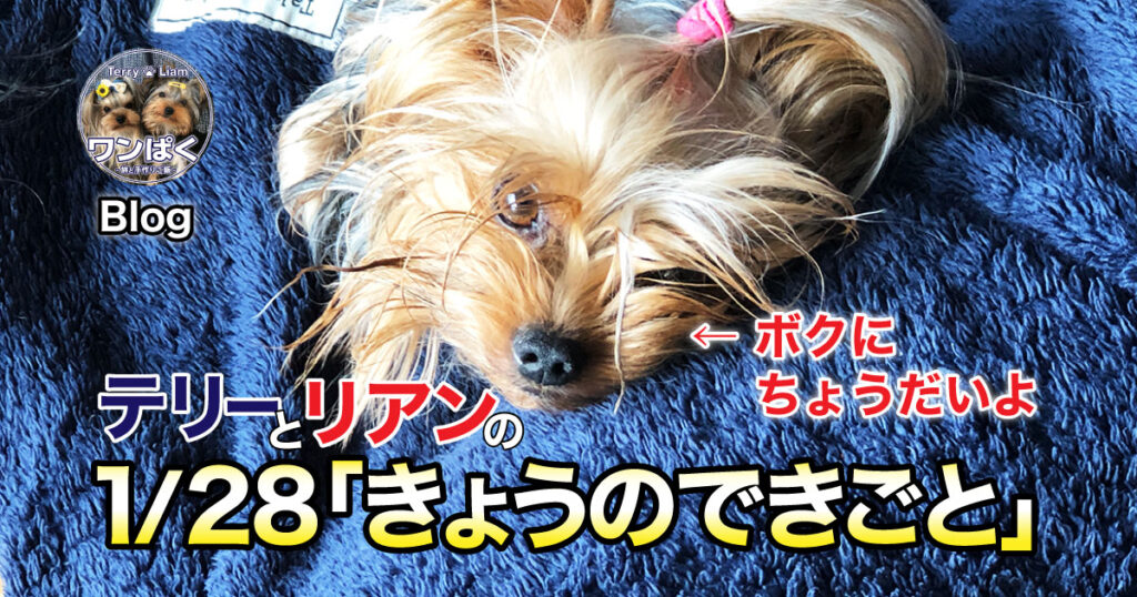 親びん、ボクのごはん多くして良いよ！