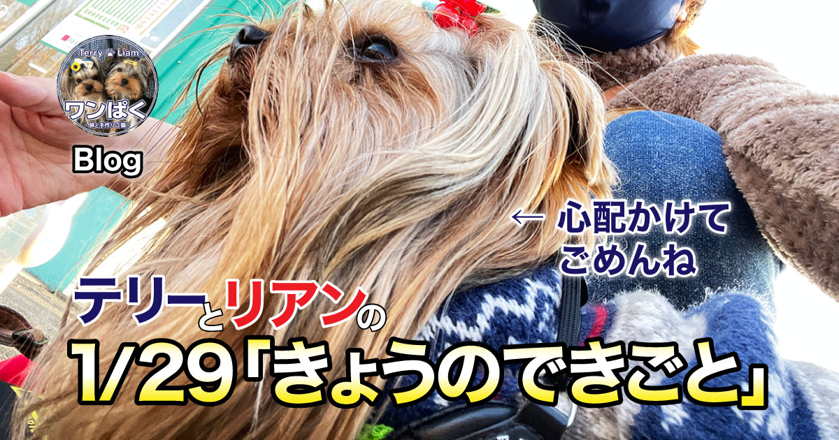 僕は全然元気だよ！