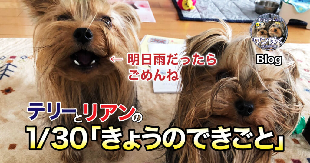 今日は珍しいことがたくさん…