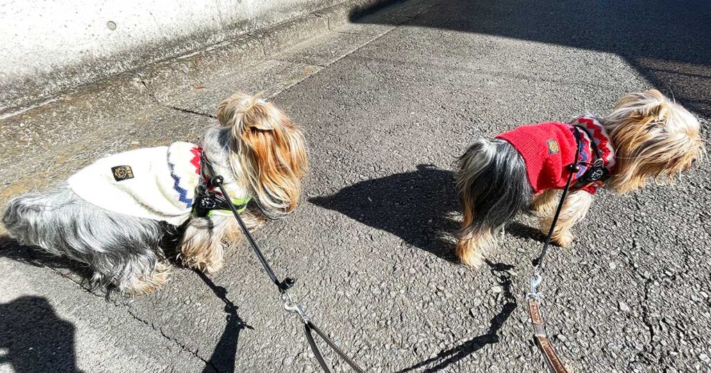 3kmも歩くとさすがに疲れるね…