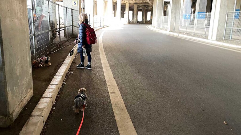 ここは雨でも歩けるね
