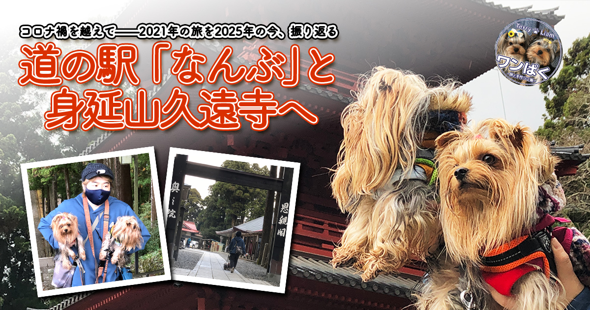 ヨークシャーテリアのテリーとリアンを連れて、山梨県『道の駅なんぶ』と『身延山 久遠寺』を訪れたときの写真。2021年の旅を2025年に振り返るアイキャッチ画像