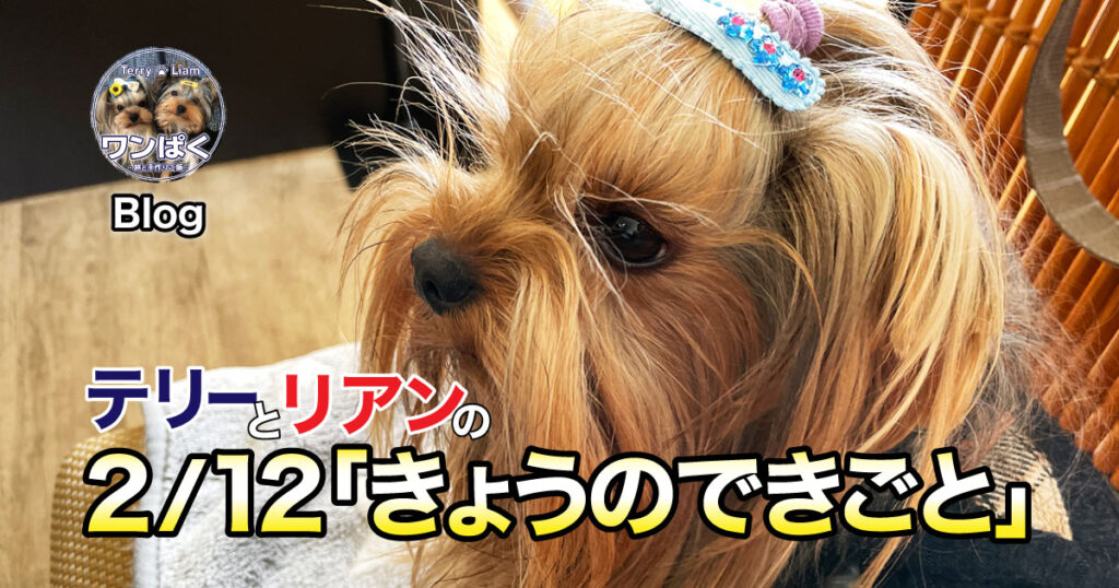馬肉だけじゃ足りないよ…