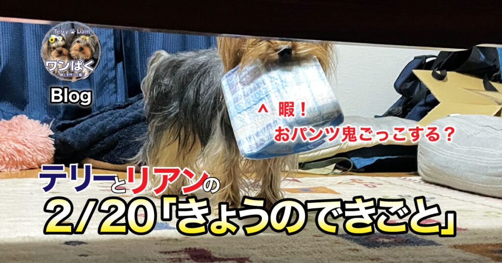 誰か〜！ボクと遊んでよ〜