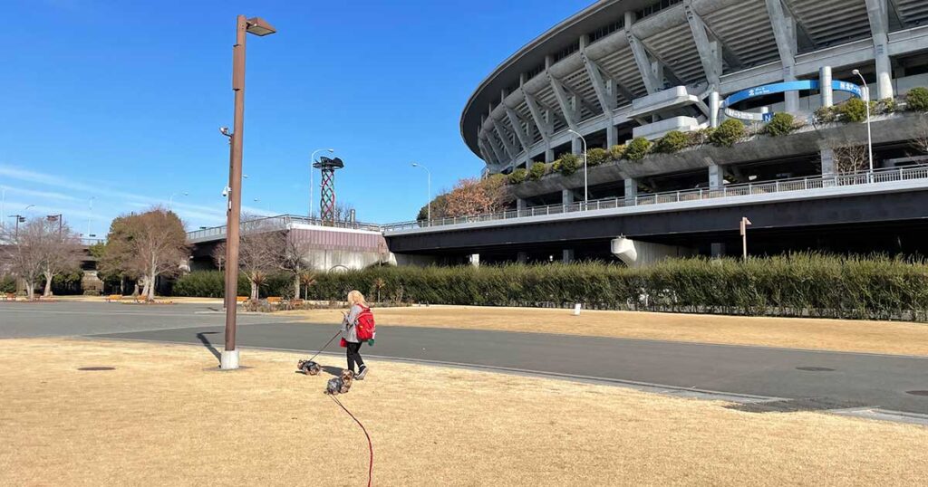 青空はどこまでも高い！