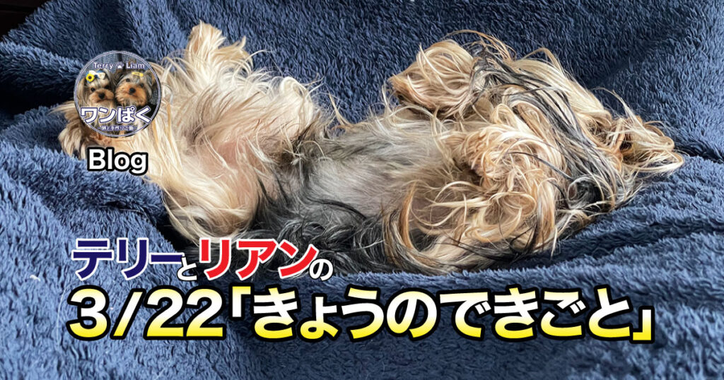 寝るのも限界があるよ…