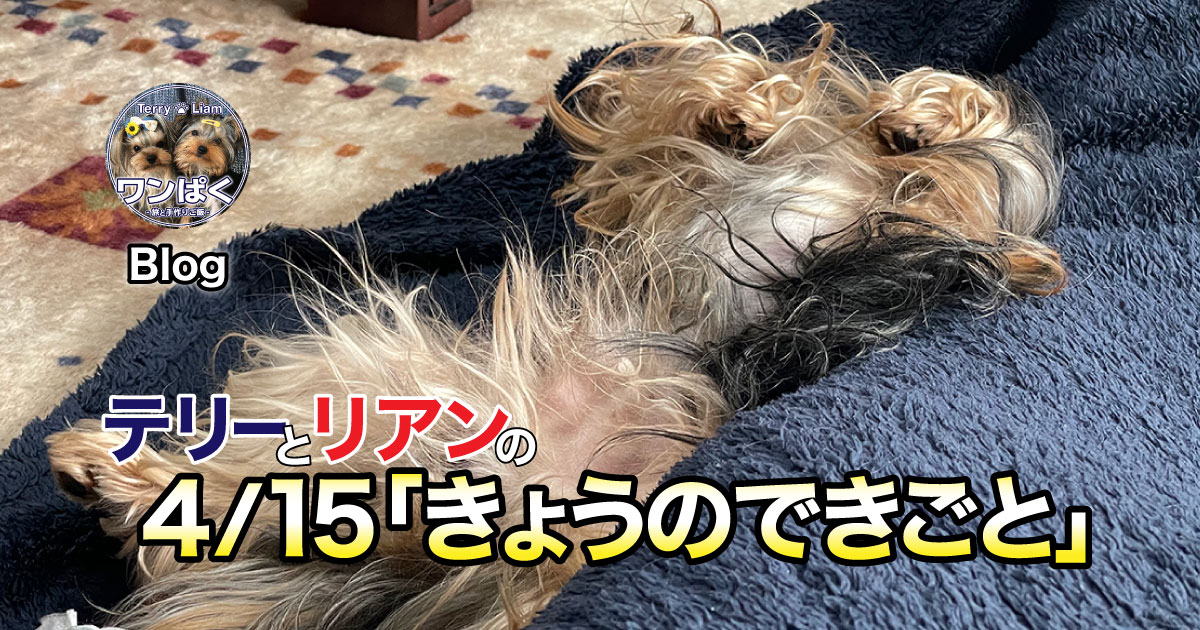 もう…僕ワンプロ疲れちゃったよ