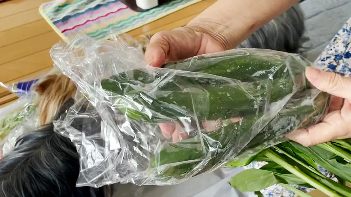 『おやさいレスキュー』さんで注文したお野菜の中に入っていたきゅうり。ちょっと曲がっているだけで割れたりもしていない。