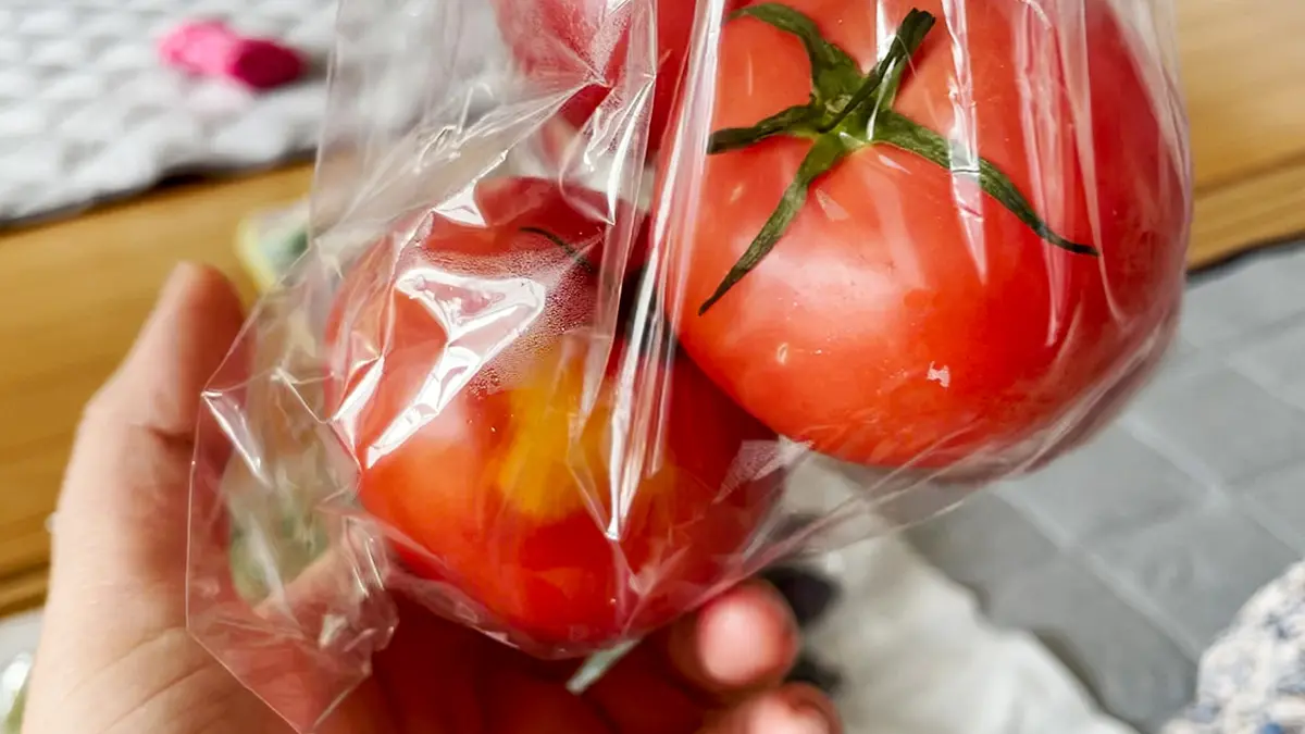 『おやさいレスキュー』さんで注文したお野菜の中に入っていたトマト。少し色づきが悪いけど、身割れしていたりはしていない。