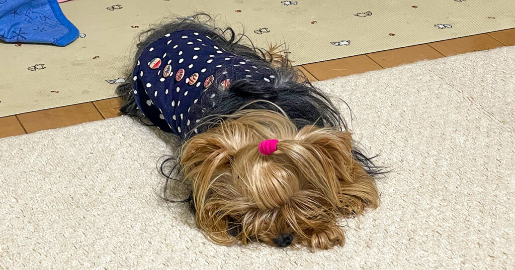 もうちょっと寝てた方がいいってさ…