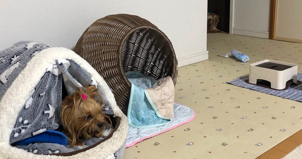 何やら騒がしいなぁ…（この画像の中にテリ兄もいるよ！探してね）