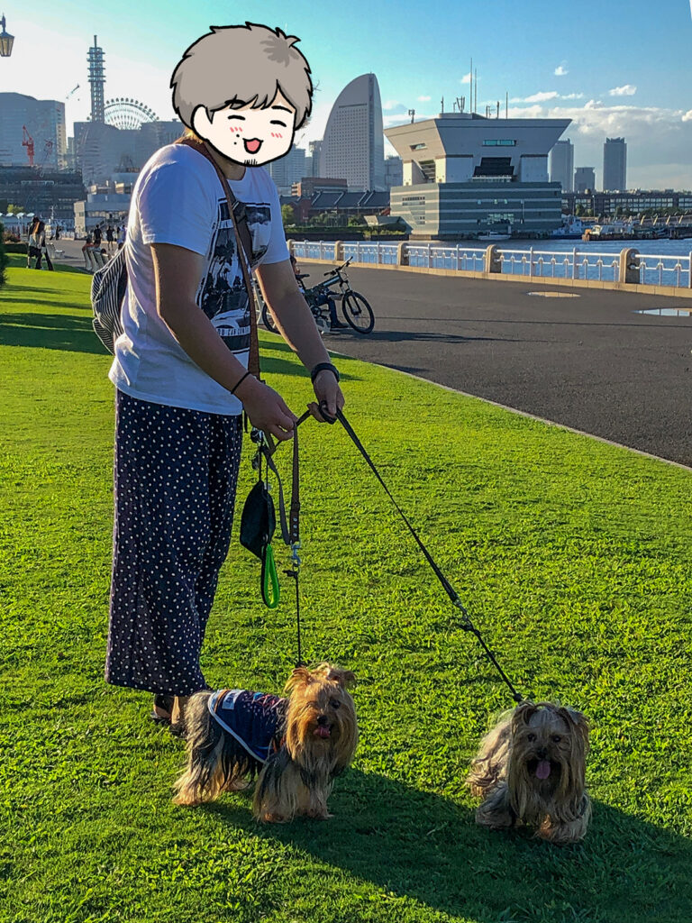 芝生が気持ちいい〜！