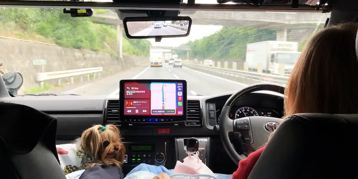 雨の中関越道を運転している人間とウトウトしているヨークシャーテリア