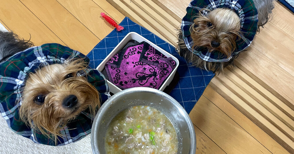 いい運動したあとは…ごはんも美味しいね！