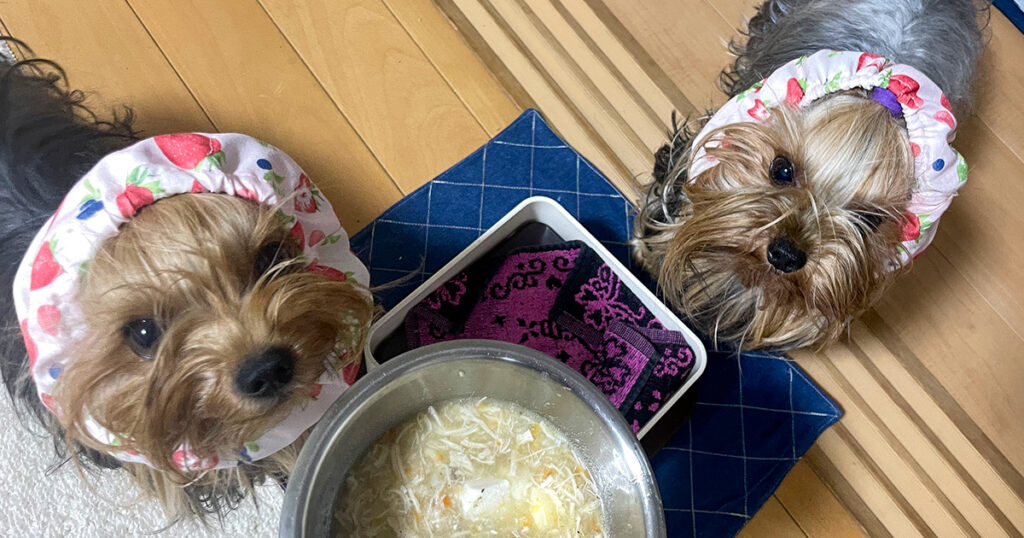 運動してお腹ペコリンちょ