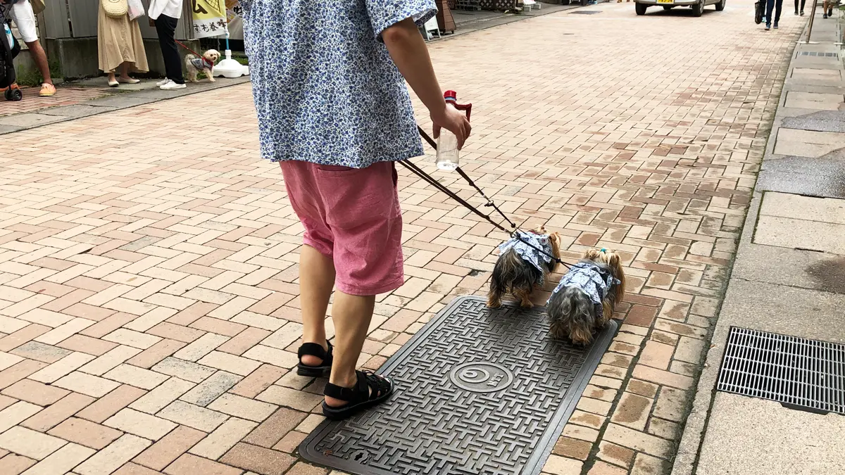旧軽井沢-銀座通り商店街をお揃いの洋服を着て歩くヨーキーズと人間