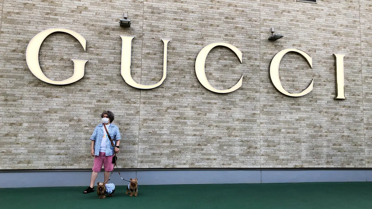 『軽井沢プリンス ショッピングプラザ』の中にあるGUCCIの前で記念撮影するヨークシャーテリア(テリーくんとリアンくん)