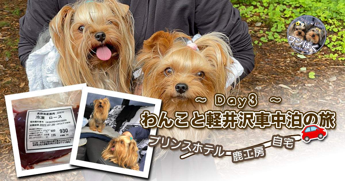ヨークシャーテリアのテリー＆リアンと一緒に、軽井沢でジビエを求めた車中泊最終日の記念ショット。『鹿工房』で手に入れた鹿肉パックと、旅の疲れを癒すリアンのくつろぎ姿を添えて。