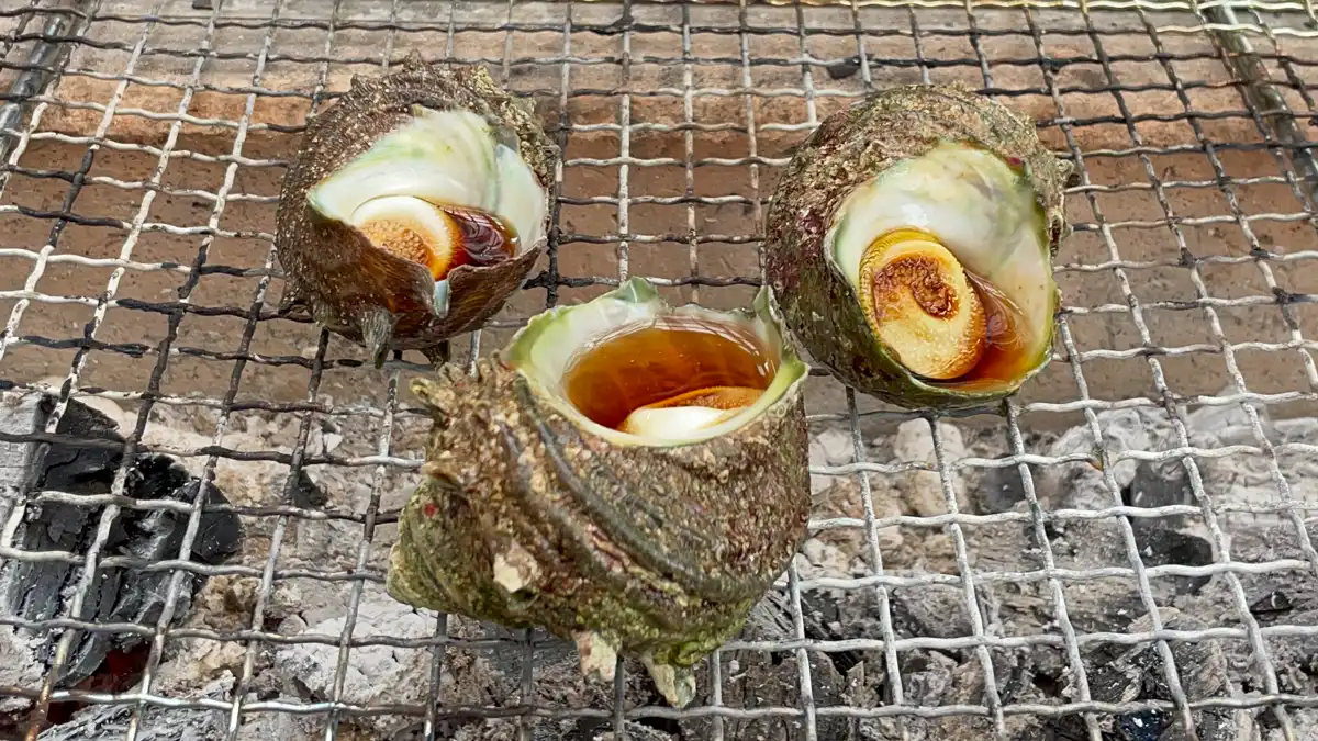 炭火カフェ「なぎさガーデン」さんで炭火焼きしたサザエ。中からは美味しそうなお汁が💕