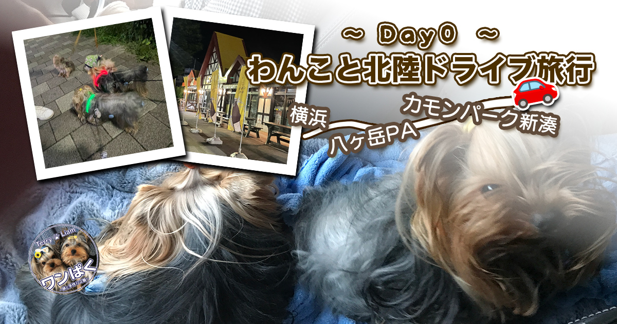 「Day0 わんこと北陸ドライブ旅行」アイキャッチ画像。横浜から新湊へ向かう車旅ルート（八ヶ岳PA・カモンパーク新湊）や、休憩中のヨークシャーテリア（テリー＆リアン）の様子をコラージュした旅行記ビジュアル。