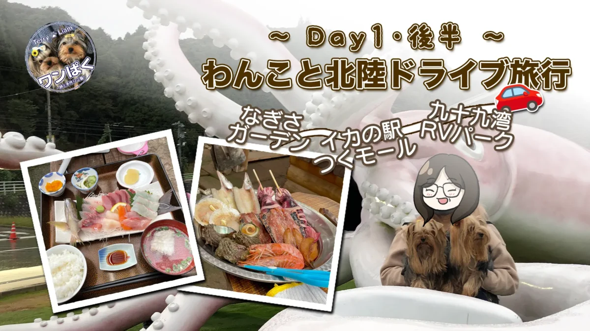 巨大イカのモニュメント前でヨークシャーテリア2匹と記念撮影する女性。石川県の「イカの駅つくモール」で撮影。新鮮な刺身定食と海鮮串焼きの写真も並ぶ、わんこと行く北陸ドライブ旅の1日目後半を紹介するアイキャッチ画像。