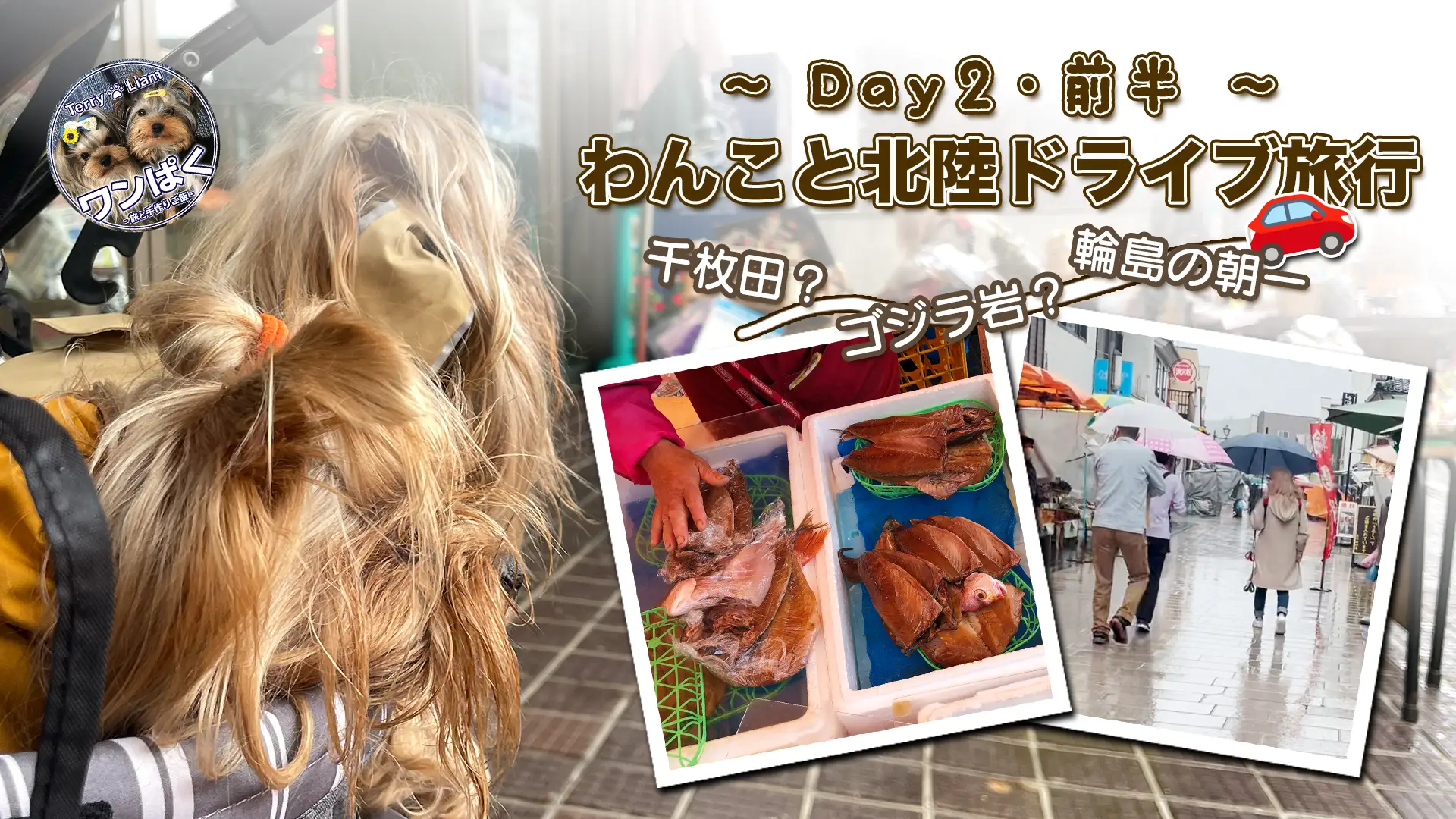 「Day2前半｜わんこと北陸ドライブ旅行」アイキャッチ画像。 テリー＆リアンの後ろ姿、輪島の朝市、干物の写真がコラージュされている。 テキストには『干枚田？』『ゴジラ岩？』『輪島の朝一』など。