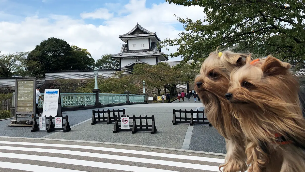「金沢城」の入り口で記念撮影するヨーキーズ(テリー&リアン)。風に吹かれて自慢の髪の毛が流れてる。