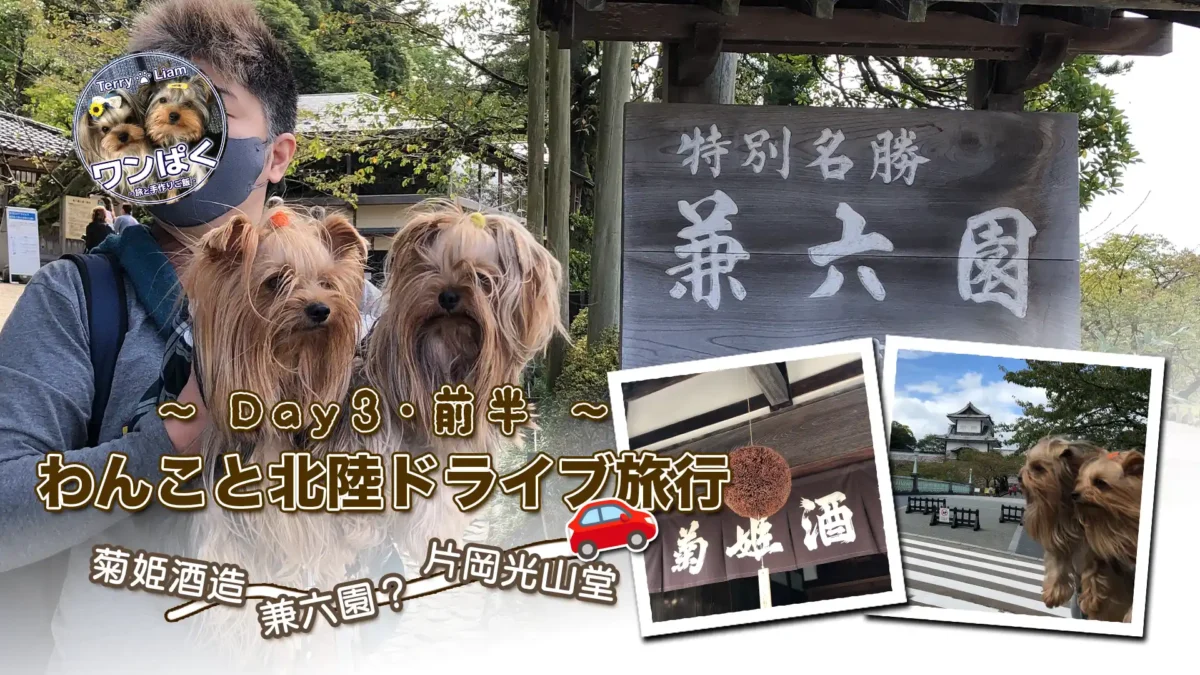 金沢市の観光地「兼六園」前で撮影したヨークシャーテリアのテリー＆リアンと飼い主。背景には兼六園の看板、菊姫酒造の杉玉、金沢城なども写る旅行アイキャッチ画像。