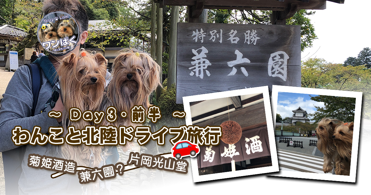 金沢市の観光地「兼六園」前で撮影したヨークシャーテリアのテリー＆リアンと飼い主。背景には兼六園の看板、菊姫酒造の杉玉、金沢城なども写る旅行アイキャッチ画像。