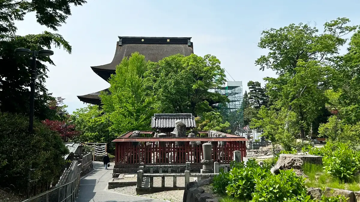 善光寺裏側から見た本堂
