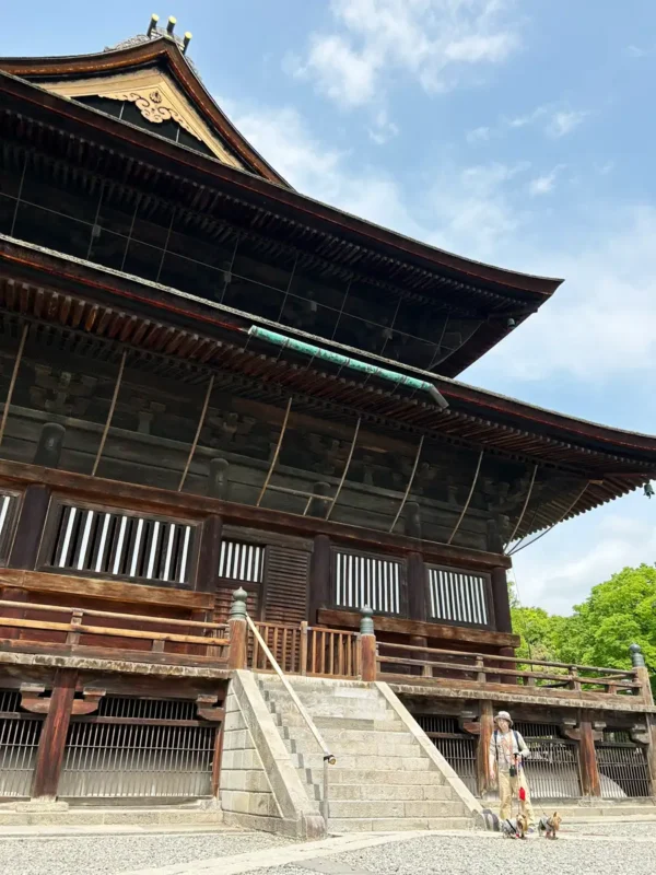 善光寺本堂脇で撮影するヨークシャーテリア