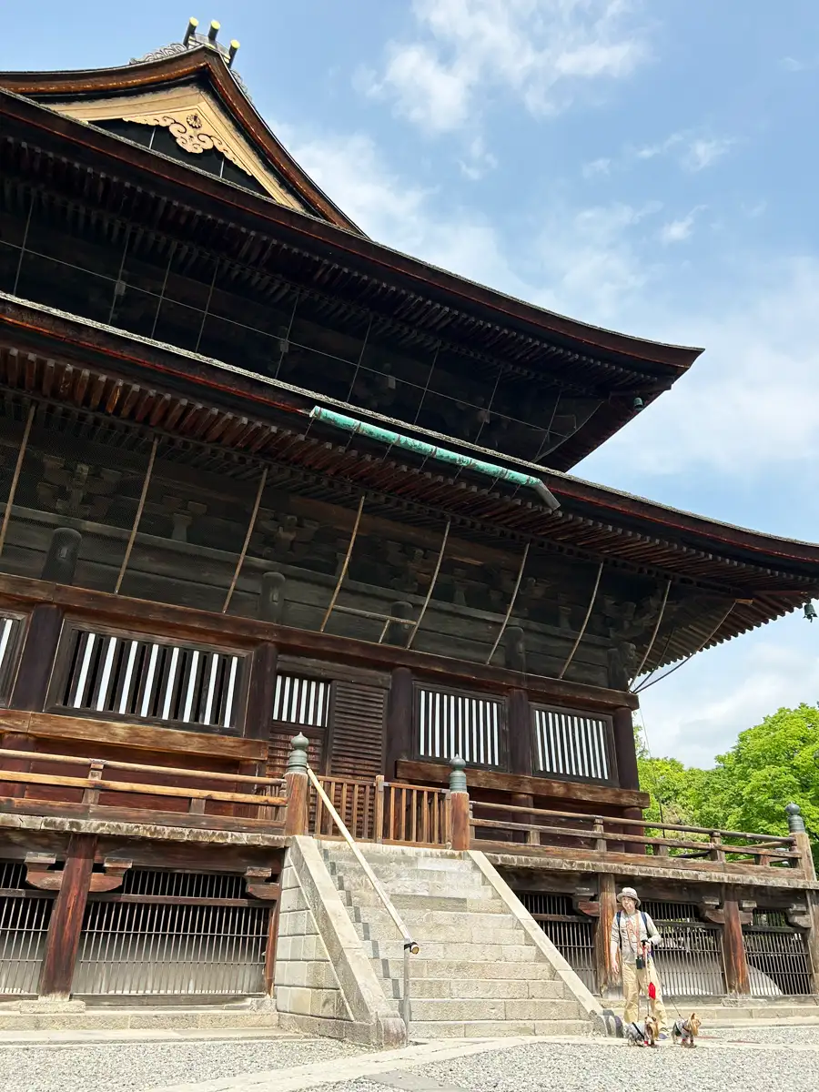 善光寺本堂脇で撮影するヨークシャーテリア