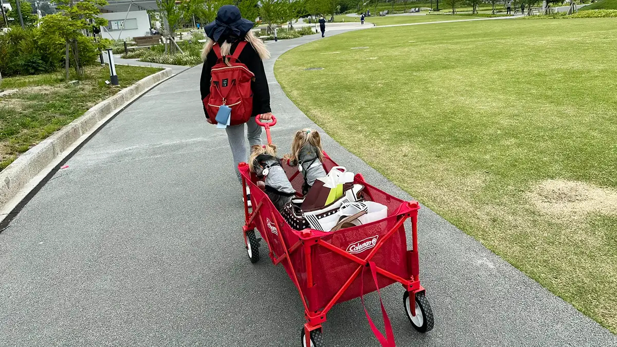 善光寺 県立美術館公園をカートに乗って散歩するヨークシャーテリア