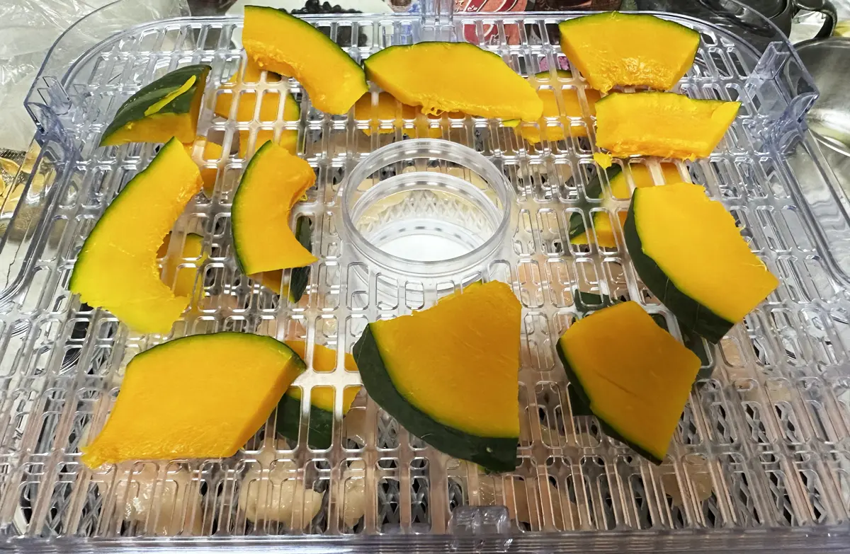 BelleLifeさんのフードドライヤーの棚に並べられたカボチャ