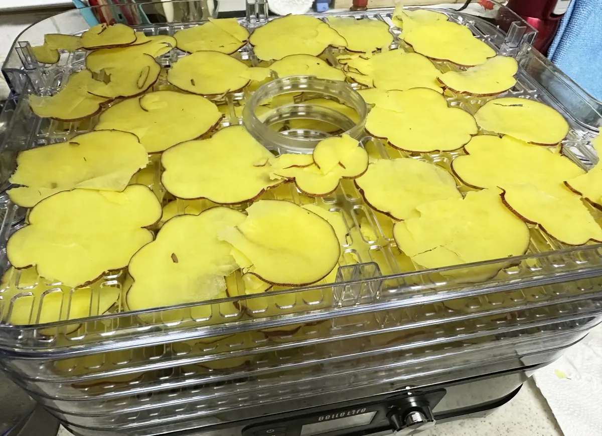 BelleLifeさんのフードドライヤーの棚に並べられたさつまいもスライス