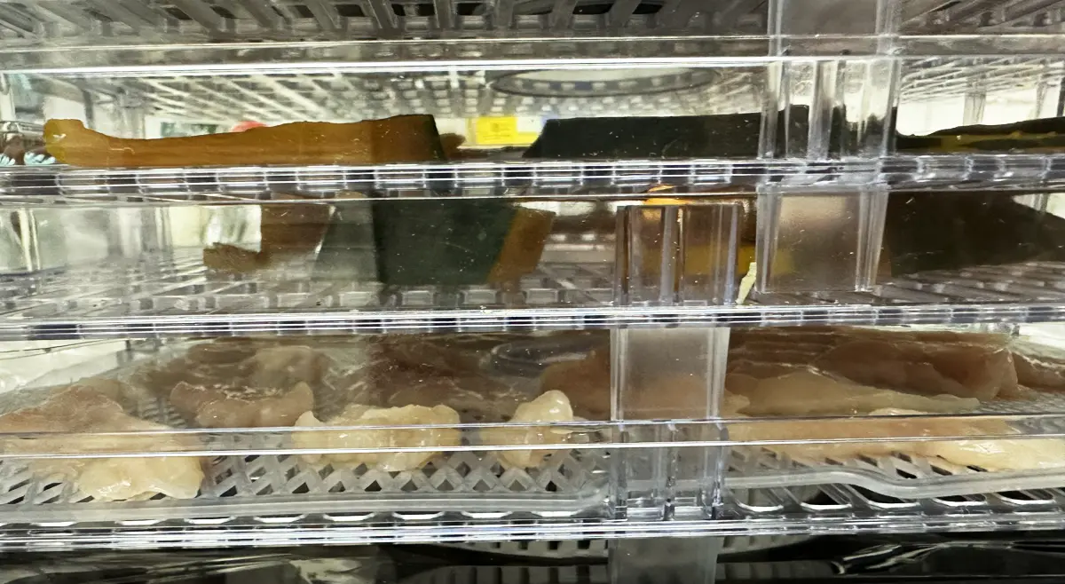 BelleLifeさんのフードドライヤーで乾燥中のかぼちゃと鶏胸肉。透明なプラスチックの棚なので、中の乾燥具合がわかる