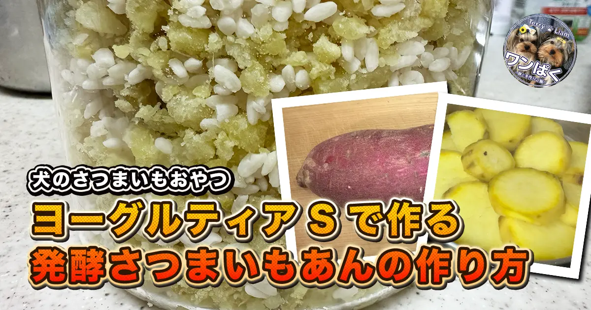 ヨーグルティアSのガラス製内釜に層のように重なったさつまいもと麹。蒸しているさつまいもと生のさつまいもも載せて