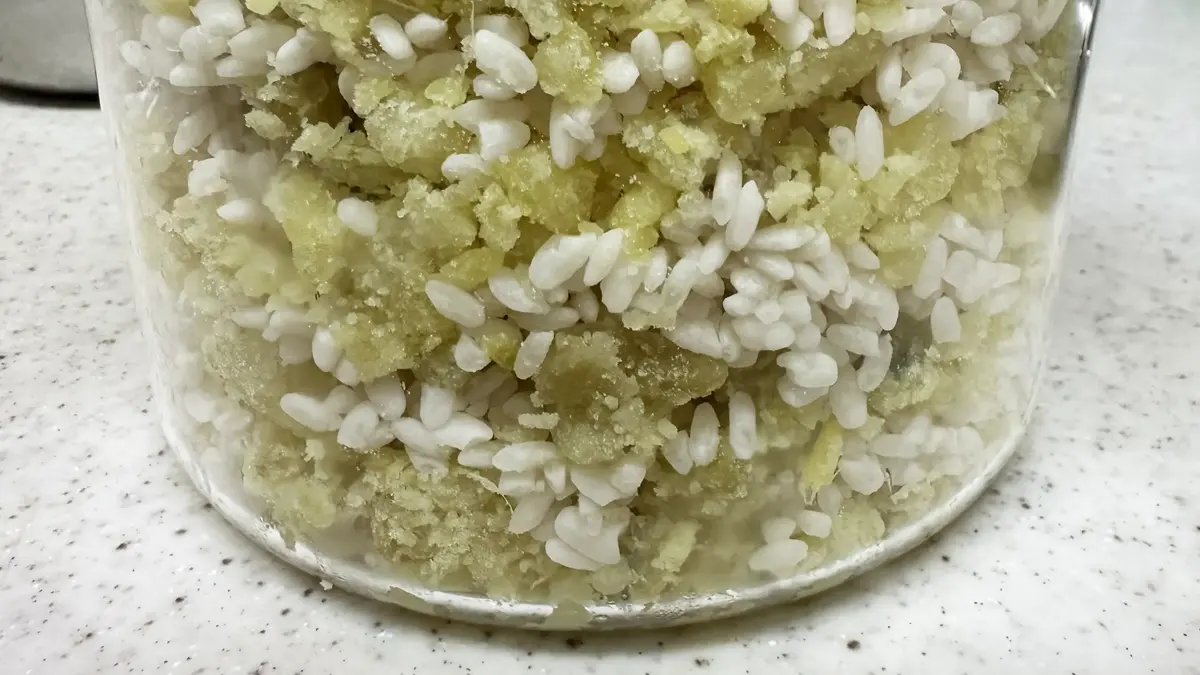 ヨーグルティアSのガラス製内釜に、蒸したさつまいもと麹を層になるように重ねている