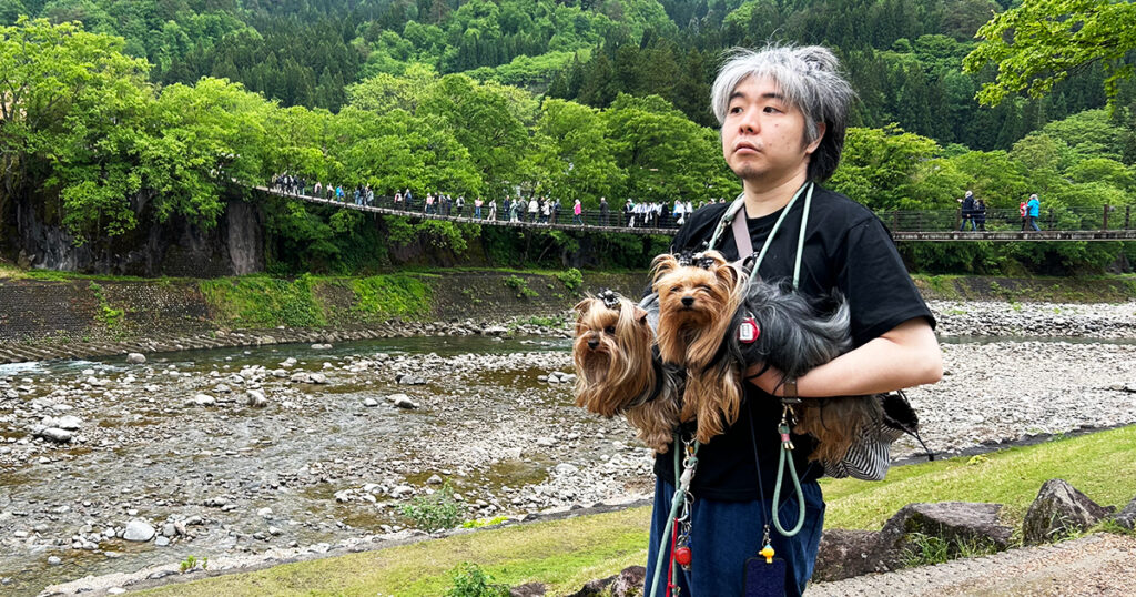 であい橋とヨークシャーテリア