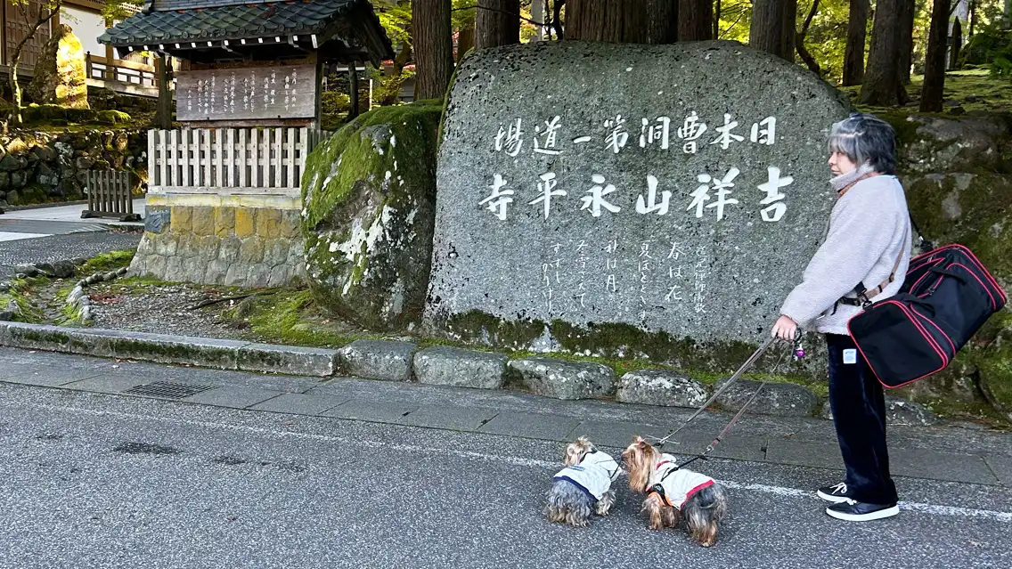 「大本山 永平寺」さんの石碑の前で記念撮影する人間（けい）とカメラにお尻を向けているヨーキーズ（テリー&リアン）