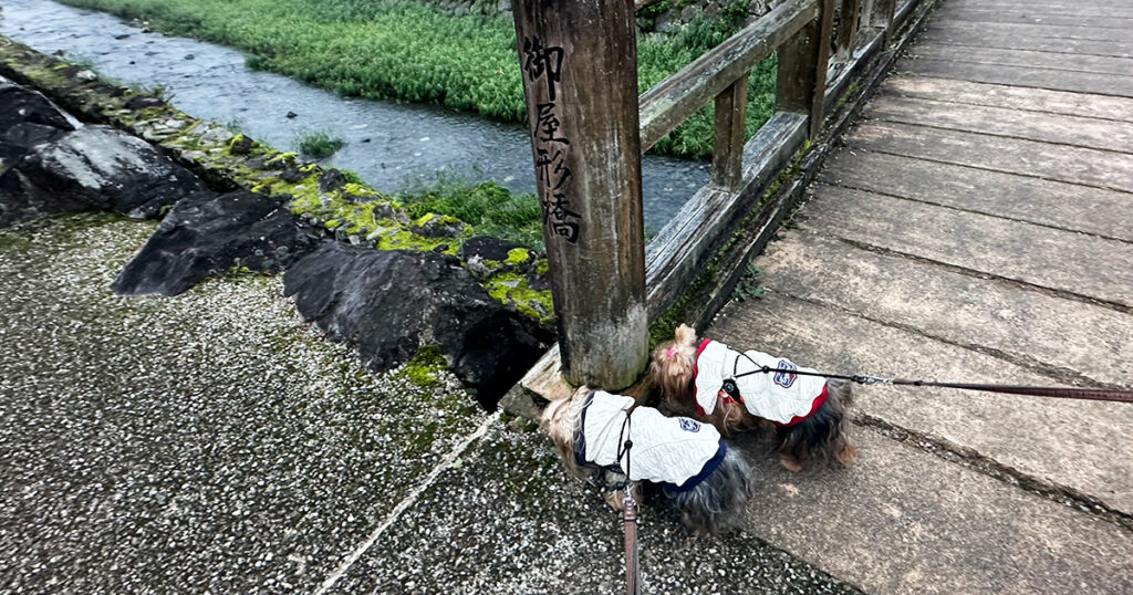 一乗谷朝倉氏遺跡