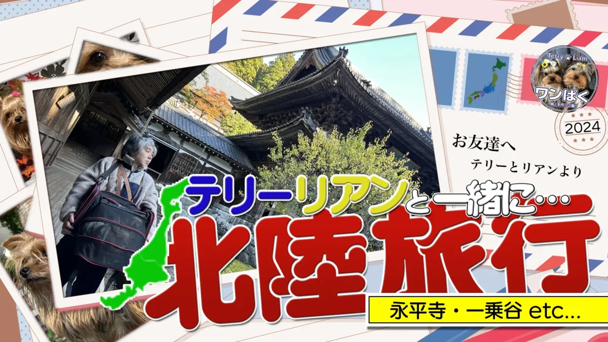 ヨーキーズ（テリー&リアン）と一緒に北陸旅行1日目の様子をコラージュ。