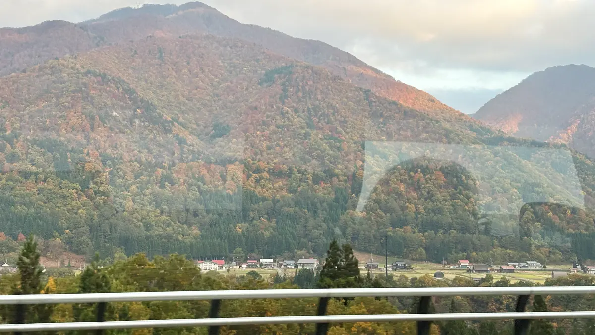「高山わんわんパラダイス」さんへ向かう道中の紅葉を車内から撮影。窓も開けずに撮影したから映り込みが激しいものの、紅葉は綺麗！