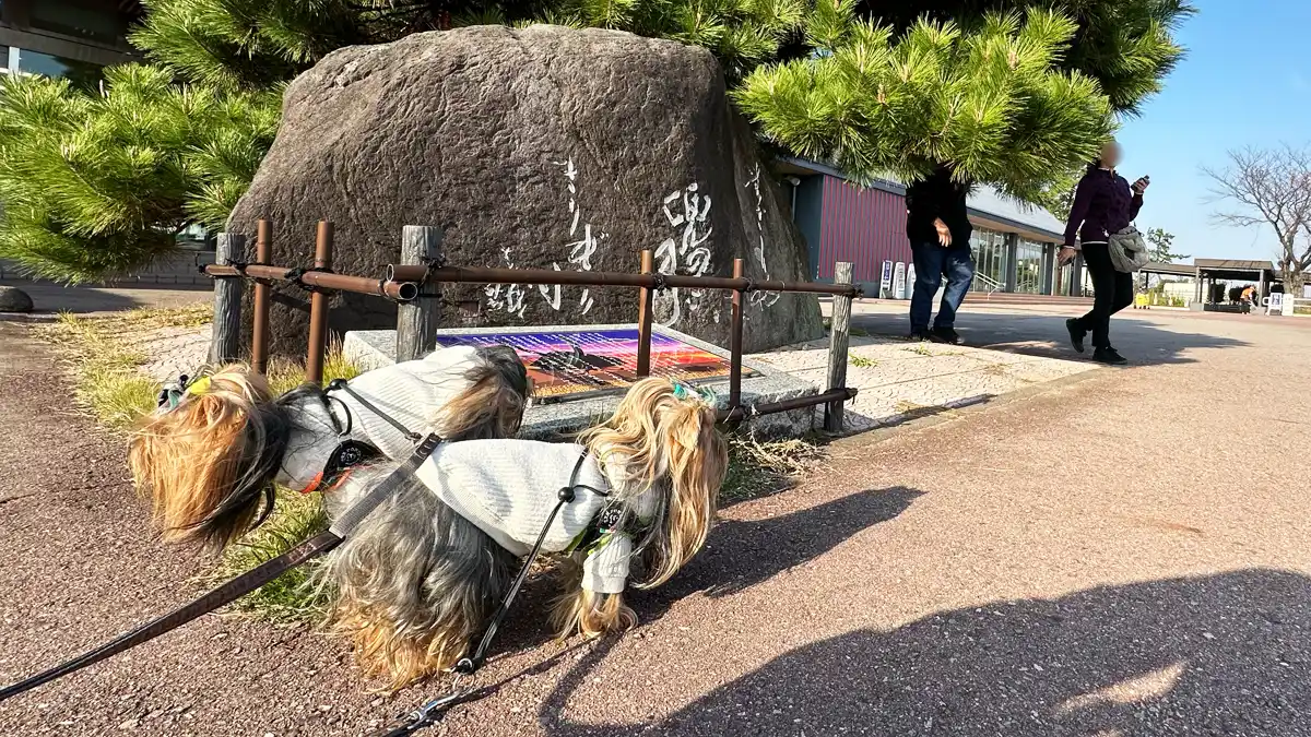 北陸道「尼御前SA」にある松尾芭蕉の石碑前で記念撮影するヨーキーズ（テリー&リアン）