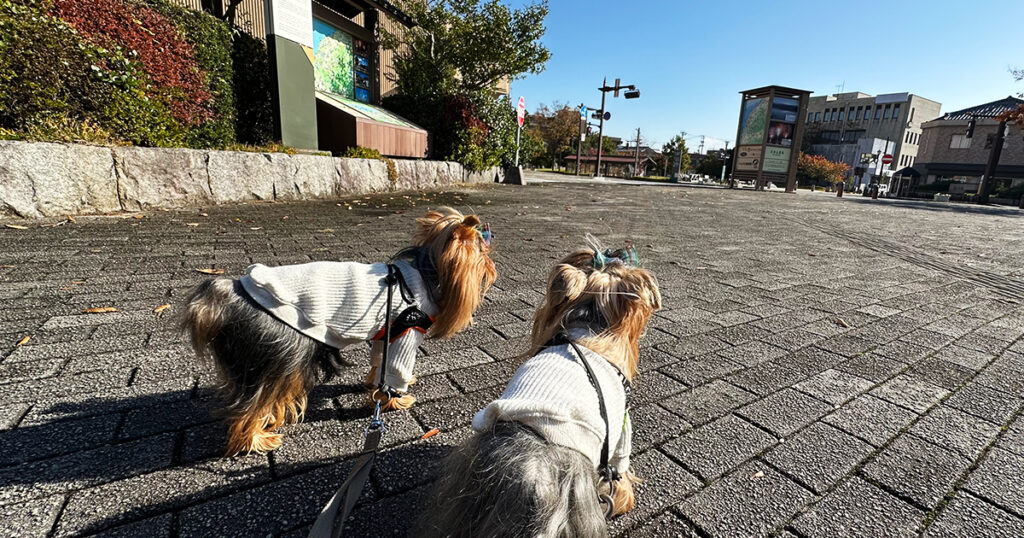 わんわんリゾート矢田屋松濤園 周辺