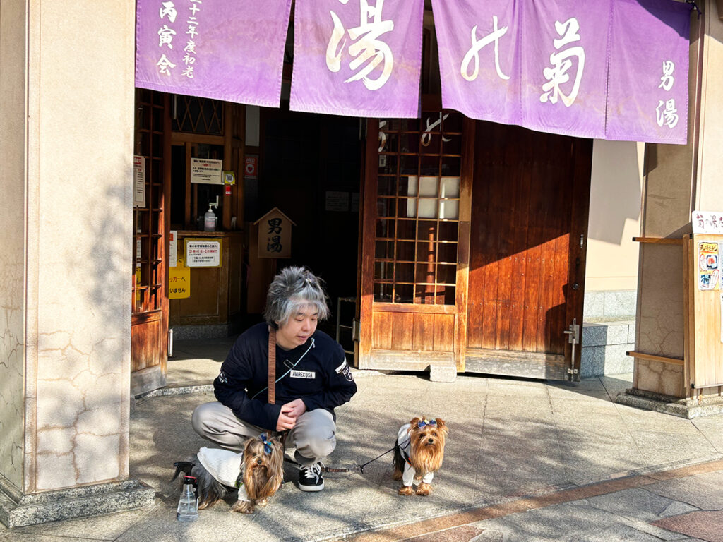 山中温泉菊の湯