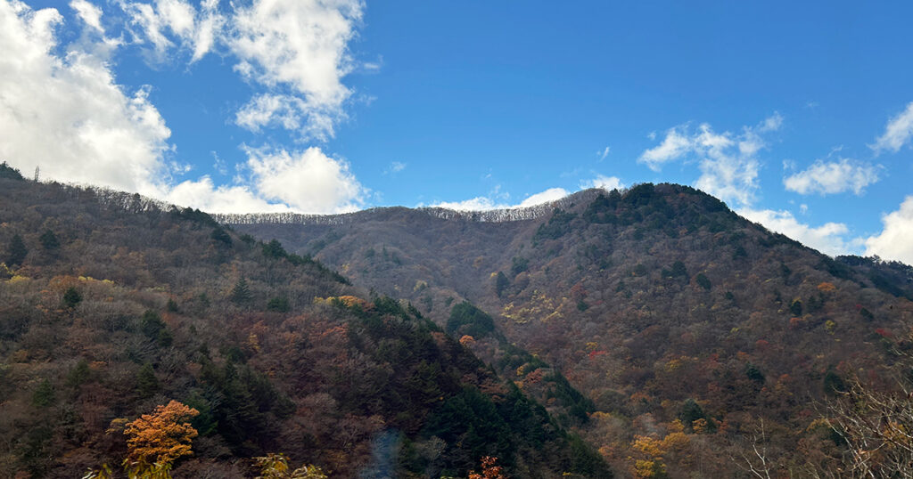 車中からの紅葉