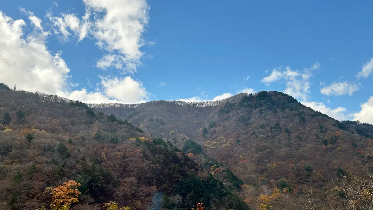 高山から松本城へ向かう車中からの見た紅葉の山。走行中に後部座席から撮影したので、窓の反射が目立つ