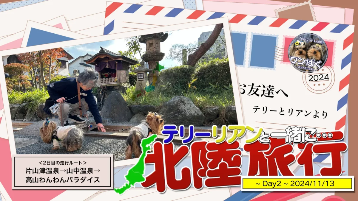 ヨーキーズ（テリー&リアン）と一緒の北陸旅行2日目！片山津温泉から山中温泉を経由して高山わんわんパラダイスへ！