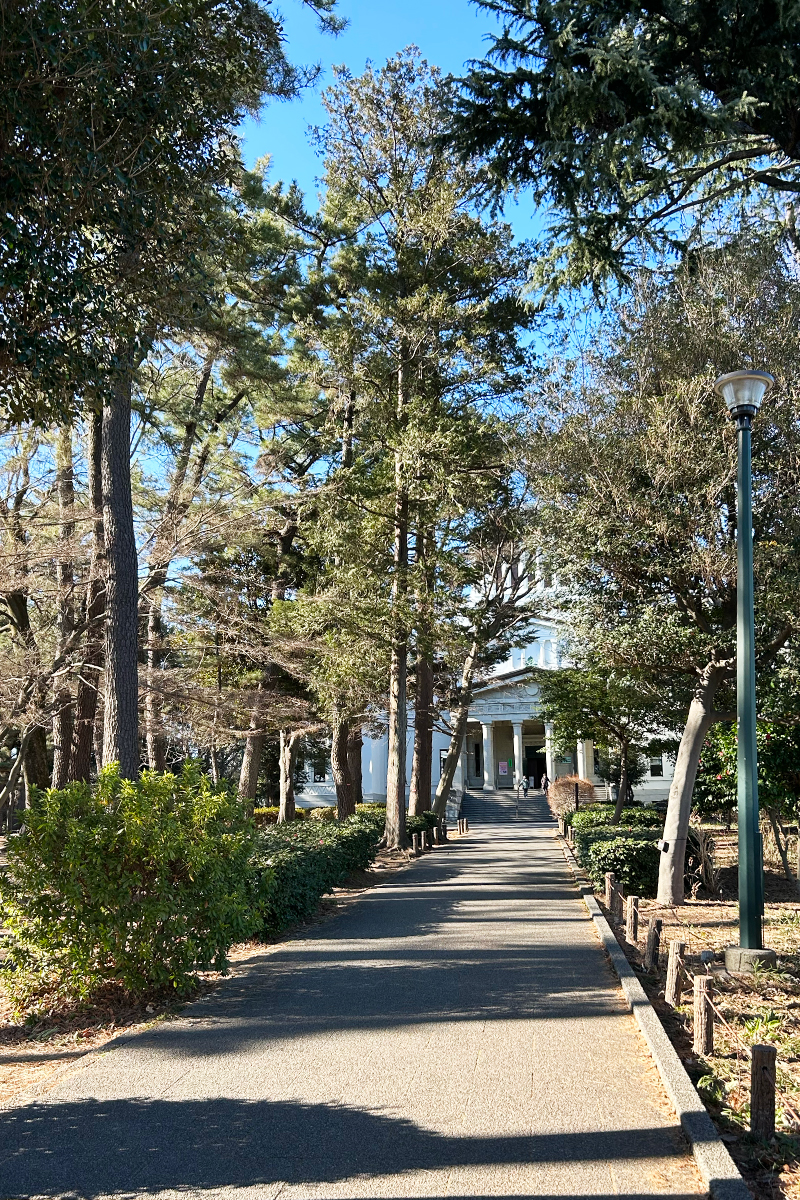 並木道から見る大倉山記念館